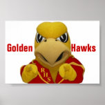 Rogers guld- hök kostymerad maskot posters