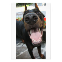 Rolig Doberman Inbjudan