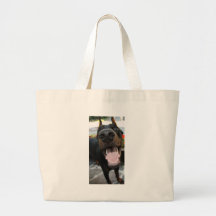 Rolig Doberman Kassar