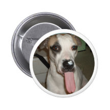 ROLIG HUND KLÄMMA FAST PINS