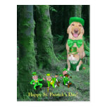 Rolig irländsk hund, katt & leprechauns vykort