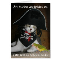 Rolig piratkatt hälsnings kort