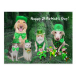 Roliga husdjur & leprechauns vykort