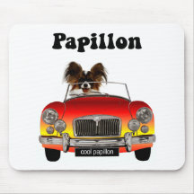 Roliga Papillon Mus Mattor