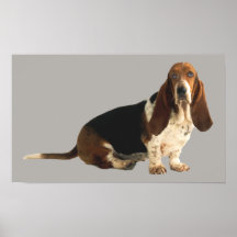 Roligt älska tryck för Bassethund Posters