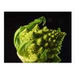 Romanesco broccoli vykort
