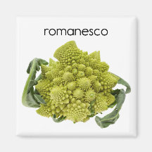 Romanesco kylskåpmagnet magneter