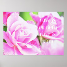 Romantisk rosa rosblommigt posters