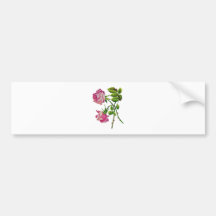 Rosa amerikanskönhetro i broderi bildekal