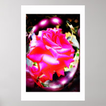 ROSA ANDAR AFFISCH