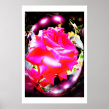 ROSA ANDAR AFFISCHER