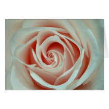 Rosa årsdagkort