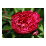 Rosa årsdagkort för rosa pion