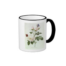 Rosa: Bengale Hymenesen Kaffe Koppar