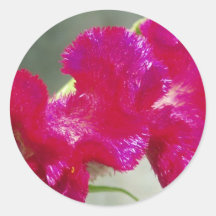 Rosa blom- klistermärke