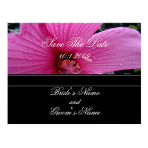 Rosa blom- spara daterapostcard.en vykort