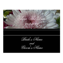Rosa blom- spara daterapostcard.en vykort