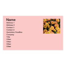 Rosa blom- visitkortar