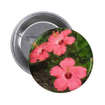 Rosa blommor knapp med nål