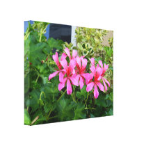 Rosa blommor canvastryck