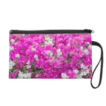 Rosa Bougainvilleablommor hänger lös