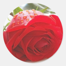 Rosa bröllopklistermärkear