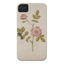 Rosa Canina - Dogrose och Caterpillar (rita & med iPhone 4 Case-Mate Skal