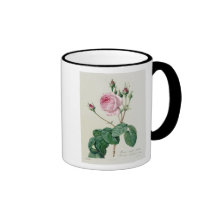 Rosa Centifolia Bullata Kaffe Muggar