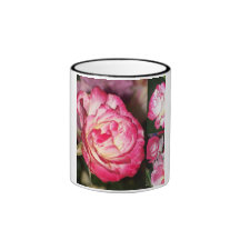 Rosa Collagemugg