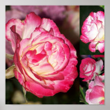 Rosa Collagetryck Posters