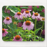 Rosa Coneflowers Mousepad Musmattor