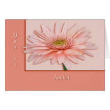 Rosa daisy kort
