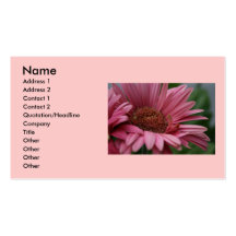 rosa daisy visitkort mall
