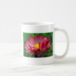 Rosa daisyblommor för vit kaffe mugg