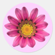 Rosa daisyklistermärke