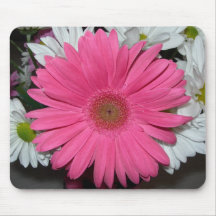 Rosa daisymousepad mus mattor