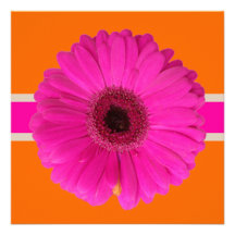 Rosa/diy bakgrund för PixDezines Gerbera,/händelse Anpassningsbara Tillkännagivanden