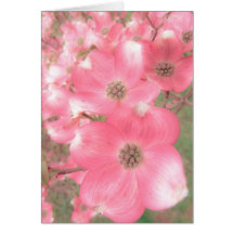 Rosa Dogwood noterar kortet