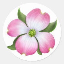Rosa Dogwoodblommaklistermärke