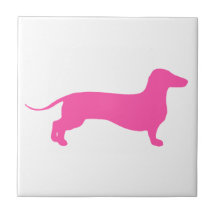 Rosa Doxie Kakel
