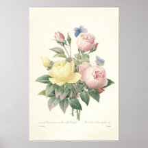 Rosa du Bengale kanvastryck Print