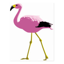 Rosa Flamingo Vykort