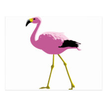 Rosa Flamingo Vykort