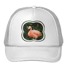 Rosa Flamingobaseballhatt Trucker Keps