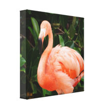 Rosa Flamingokanvastryck