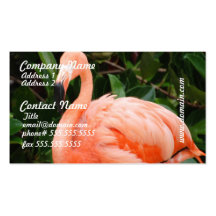 Rosa Flamingovisitkortar