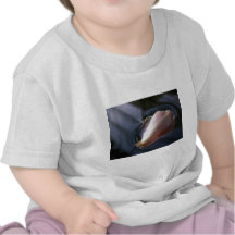 Rosa flyta för Petal Tee Shirts
