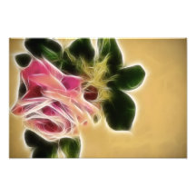 Rosa fotoFractal
