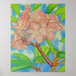 Rosa Frangipani Print