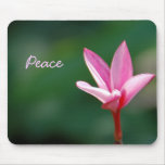 Rosa fred Mousepad Mus Matta